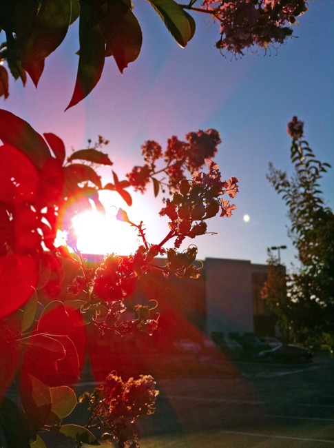 Day2_10_Minutes_From_Home