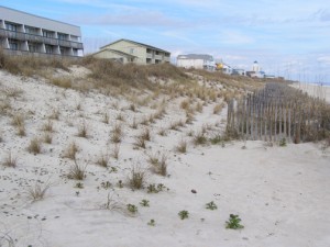 carolinabeach