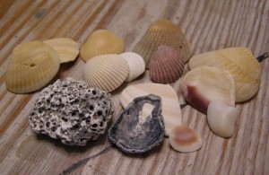 cbshells