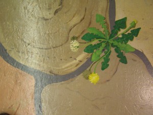 floor