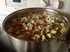 mychickenvegsoup