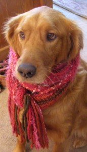 pipeyscarf pipeyscarf