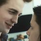 ttrailer29_100_cw85_ch85-1 ttrailer29_100_cw85_ch85-1