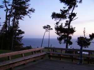 view